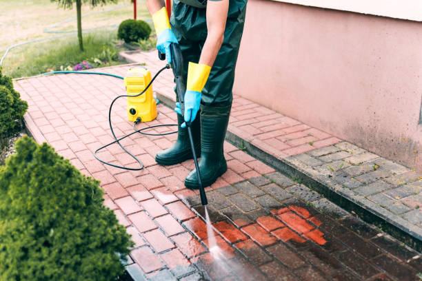 Animal Enclosure Cleaning in Robert Lee, TX